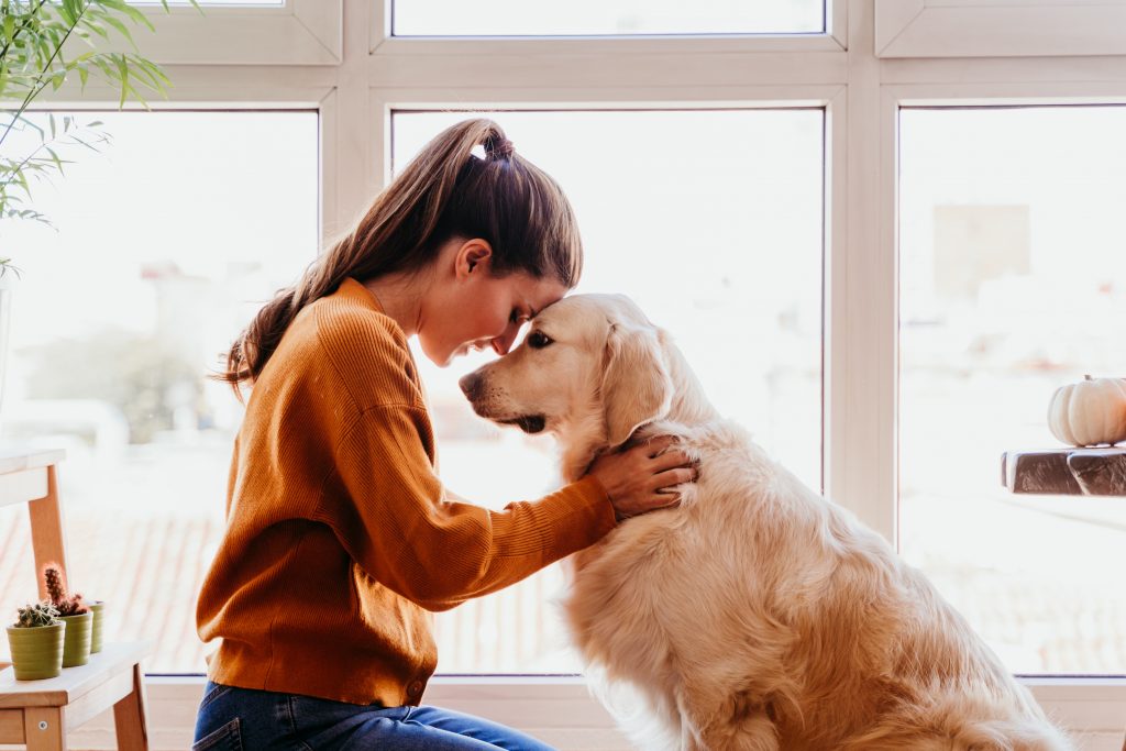 how to bond with your dog