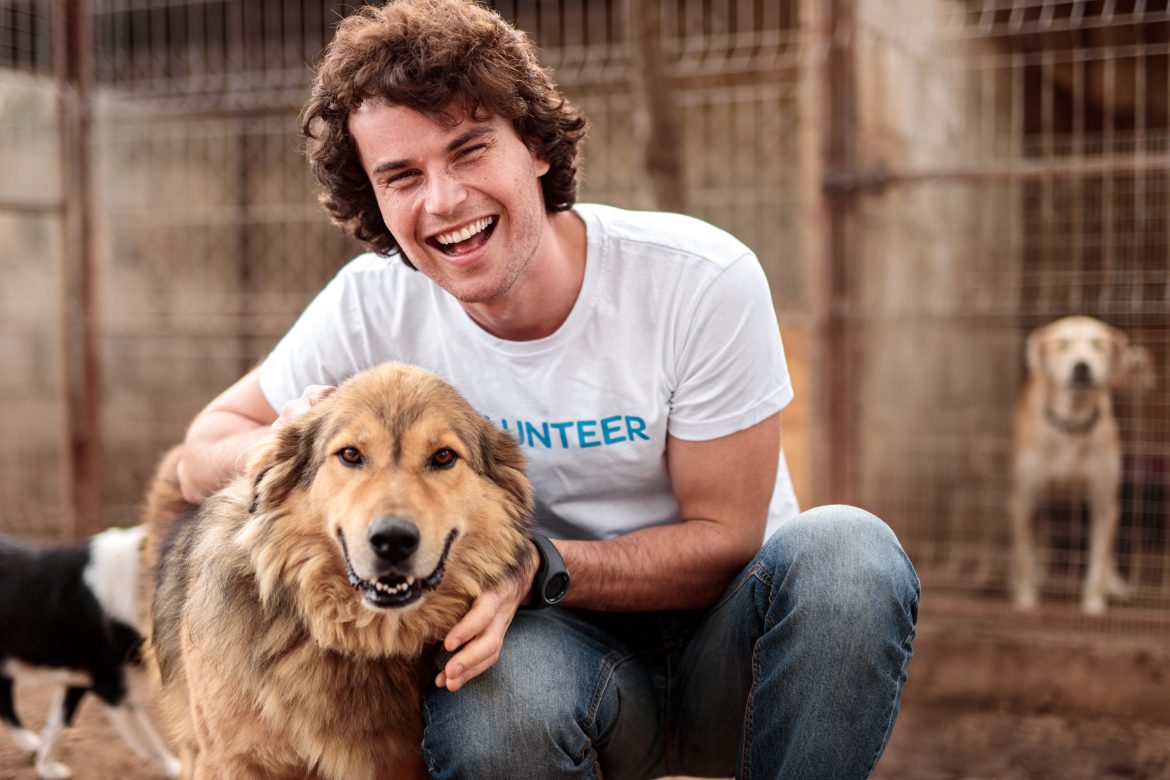 animal shelters