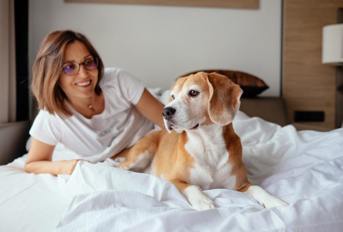 pet friendly accommodation in south africa