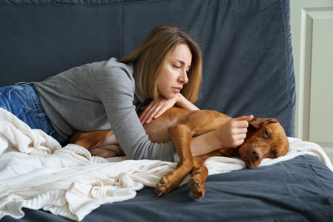 how to help a grieving dog