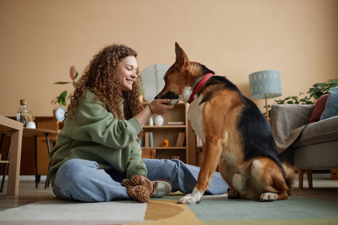 bringing home a rescue dog