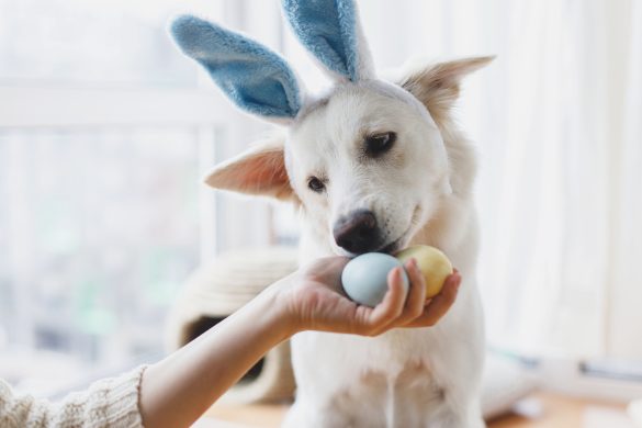 easter egg hunt without chocolate