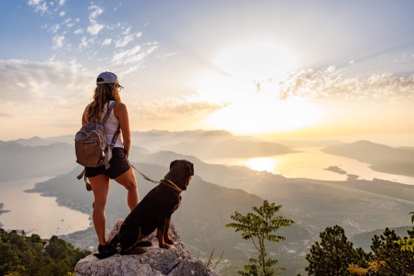 dog friendly hiking trails