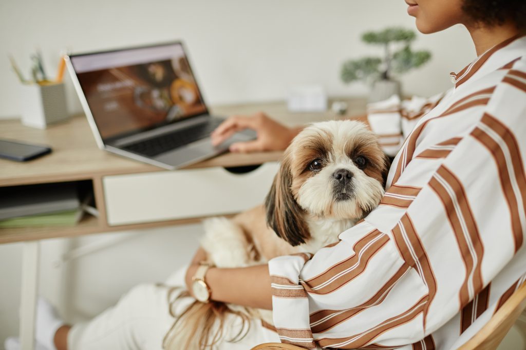 5 Expert Tips to Picking the Right Pet Insurance for Your Precious