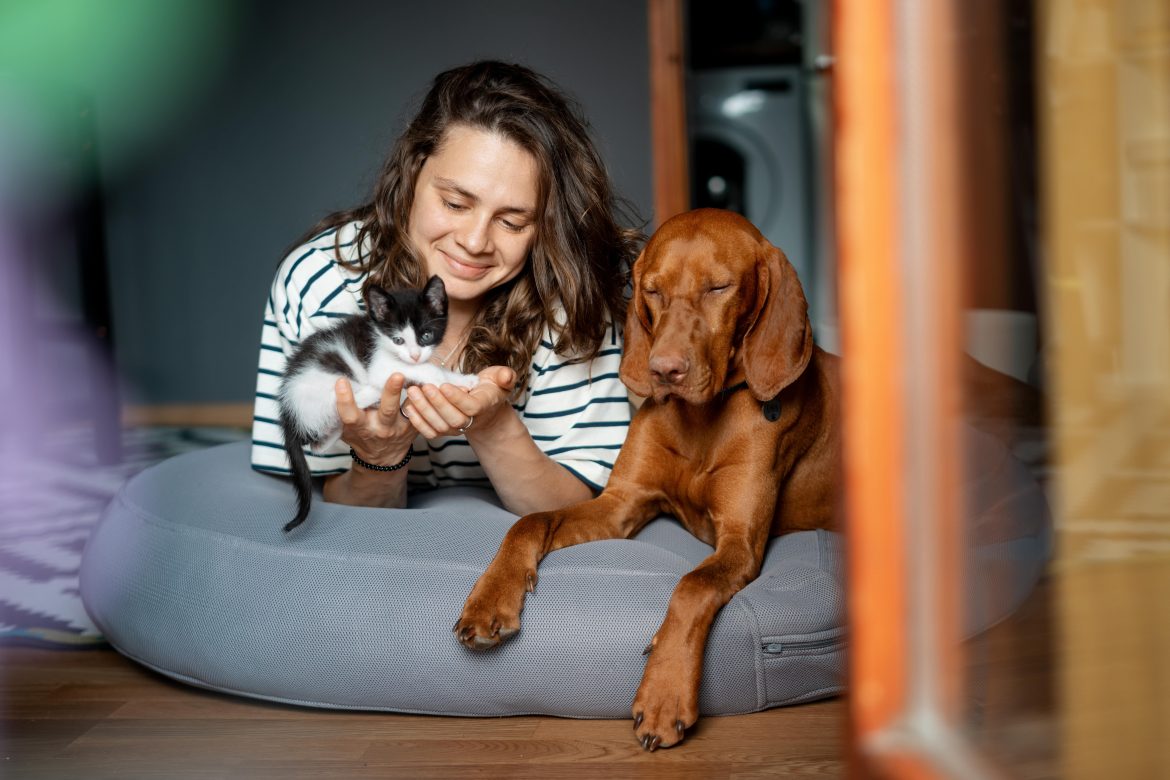 adopt a pet