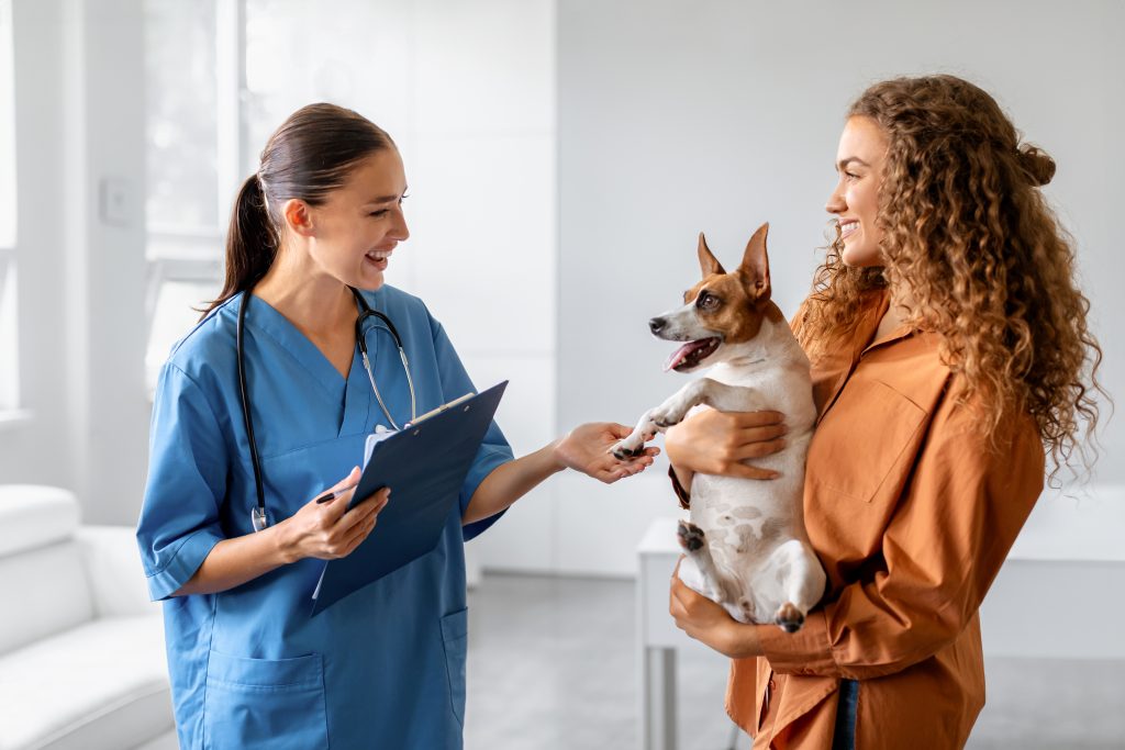 how to find a good vet