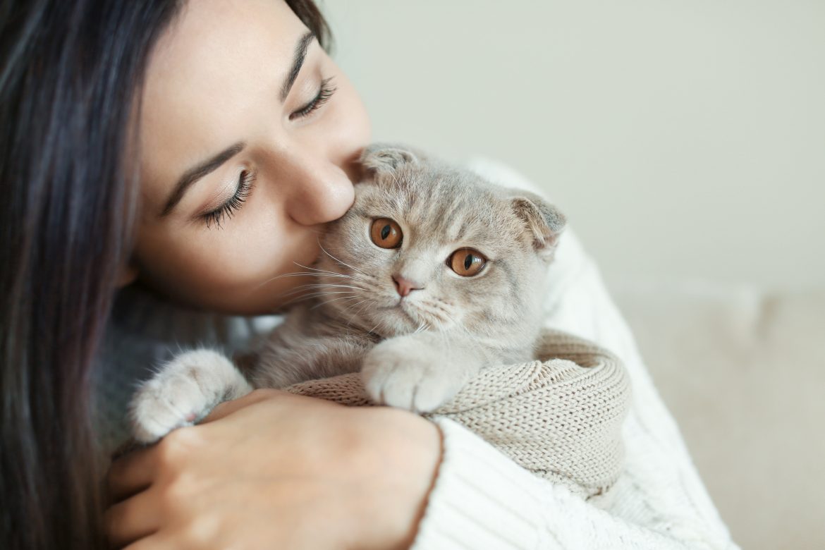 pet insurance