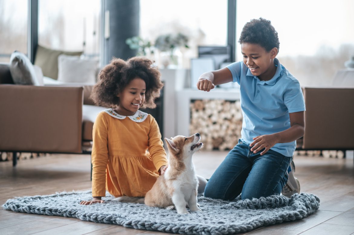 Two curly-haired kids playing with the puppy children and pets